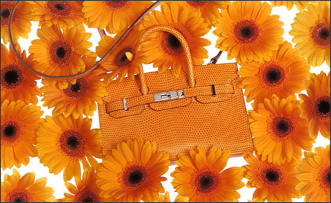 Сумки Birkin Tiny и Kelly Tiny от Hermes