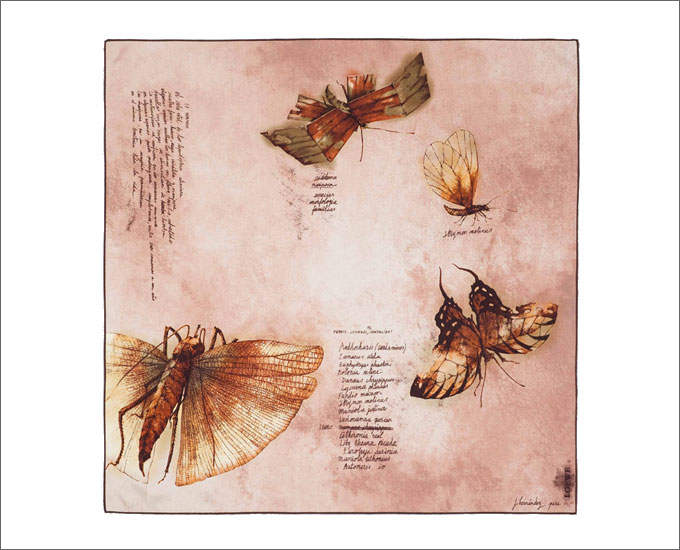 Платок с бабочками от Loewe