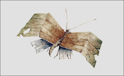 Эффект бабочек: коллекция платков «Spring Butterflies» от Loewe