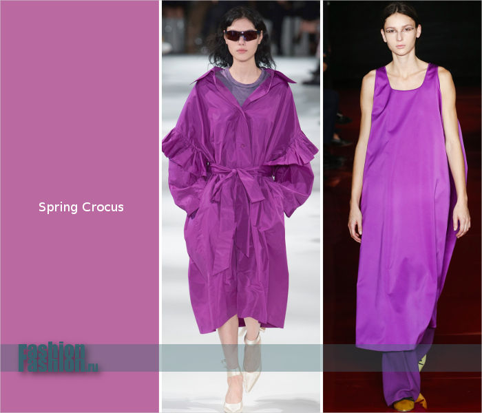 Цвет Spring Crocus от Pantone