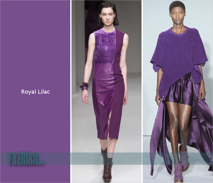 Фиолетовый оттенок Royal Lilac